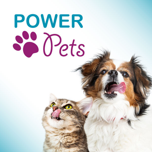 Dog and cat looking up with their tongue out