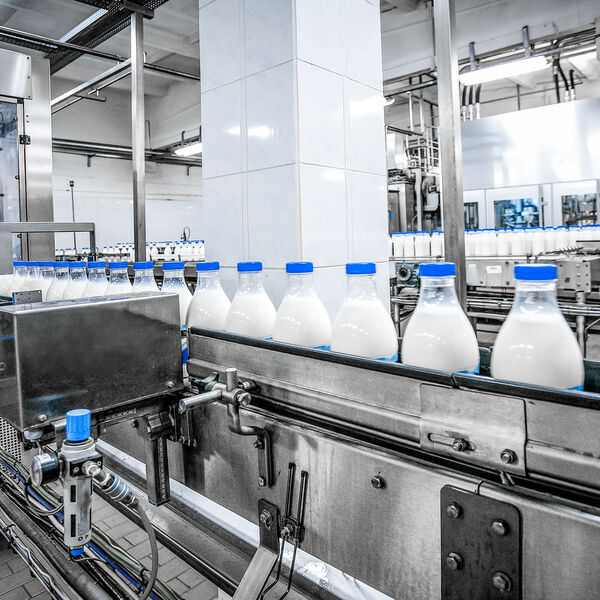 Dairy being manufactured