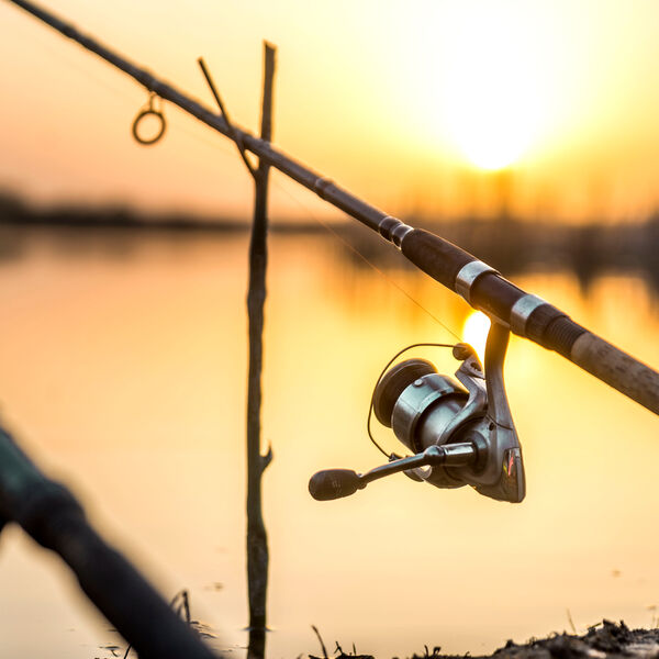 Fishing poles casted out into water