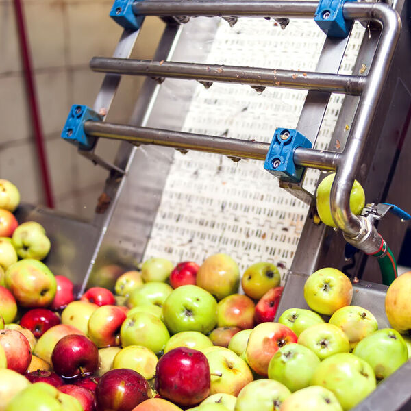 Apples being turned into juice at a manufacturing company 