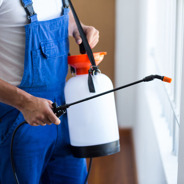 Man in blue overalls with a white shirt spraying for pests